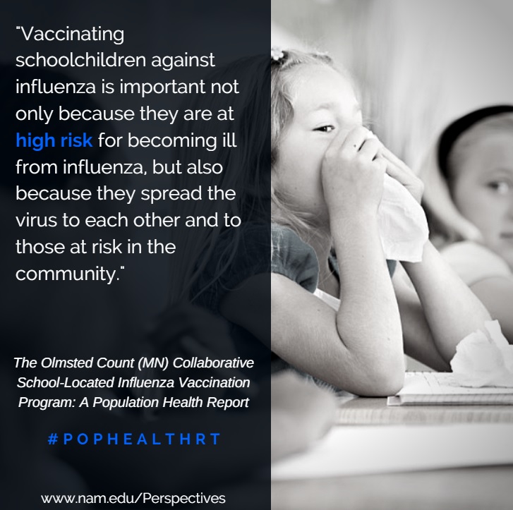 The Olmsted County (MN) Collaborative School-Located Influenza Immunization Program: A Population Health Case Report