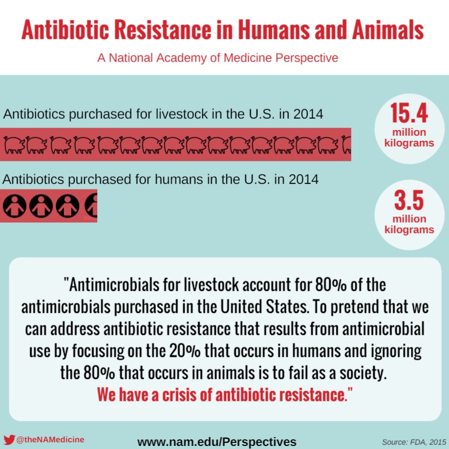 Antibiotic Resistance in Humans and Animals