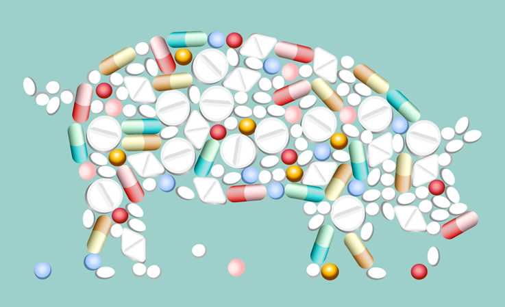 Interventions Aimed at Reducing Antimicrobial Usage and Resistance in Production Animals in Denmark