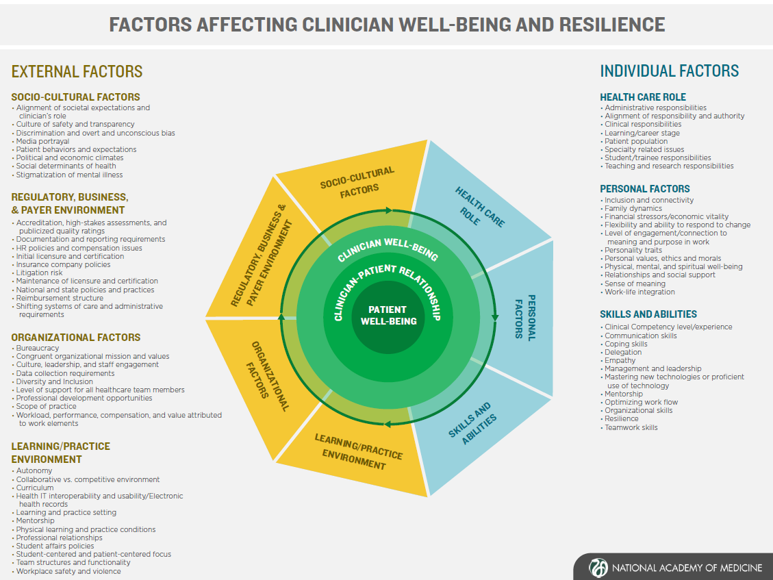 A Journey to Construct an All-Encompassing Conceptual Model of Factors Affecting Clinician Well-Being and Resilience